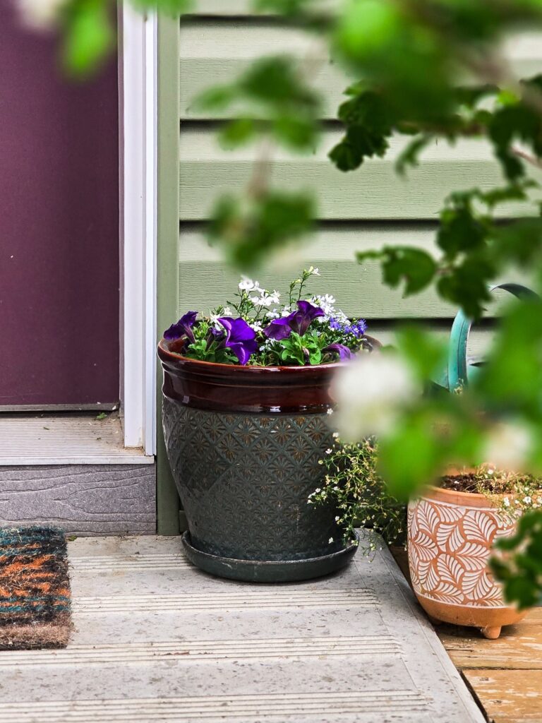 Terracotta planter with purple and white flowers on a porch, framed by green foliage and soft garden lighting.